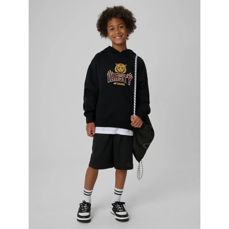 Loose-Fit Boys’ Hooded Sweatshirt 4F 4FJRAW26TSWSM3196-20S