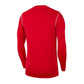 Nike Park 20 Crew Jr BV6901-657 sweatshirt Clothing/Football Nike