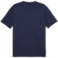 Men's Puma TeamGoal Jersey navy blue 658636 06 In preparation Your Sports Performance