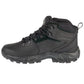 Columbia Newton Ridge Plus II M shoes 1594731014 Footwear/Outdoor/Columbia Your Sports Performance