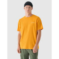 Men's oversized printed T-shirt 4F 4FRAW24TTSHM2578-70S 4f