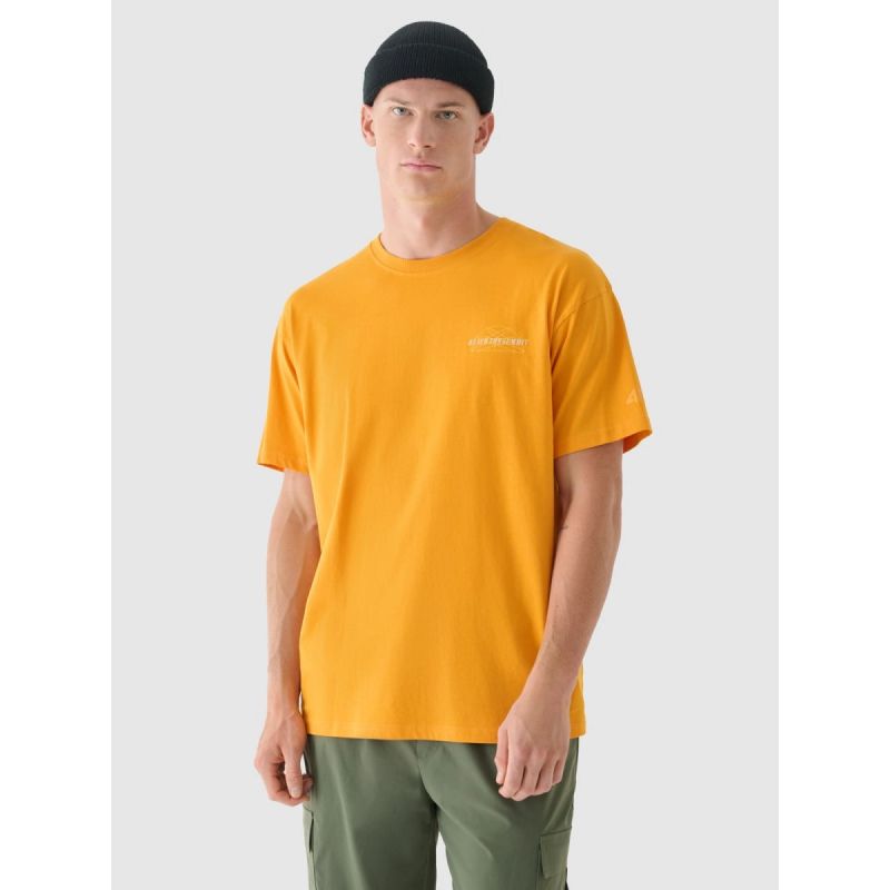 Men's oversized printed T-shirt 4F 4FRAW24TTSHM2578-70S 4f