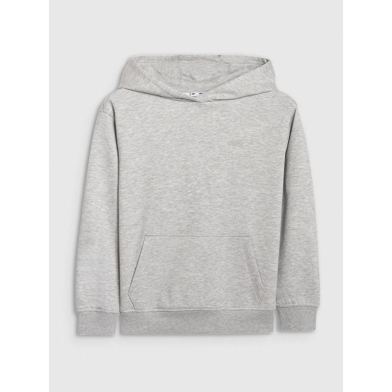 Boy's sweatshirt with hood, open, 4F 4FJWMM00TSWSM1860-25M 4f