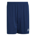 Adidas Entrada 22 M H57506 shorts Clothing/Training Adidas