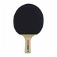 Cornilleau Sport Quattro 432053 table tennis set Accessories/Rackets and accessories Your Sports Performance