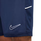 Nike Dri-Fit Academy 25 M FZ9776 410 Shorts Clothing/Football Nike