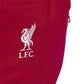 adidas Liverpool FC Backpack JZ5881 In preparation Adidas