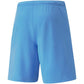 Shorts Puma teamRise Short Team M 704942 18 Clothing/Training Puma
