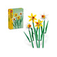 LEGO BOTANICALS 40747 Daffodils In preparation Your Sports Performance