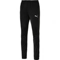 Puma Liga Sideline Poly Pant Core M 655948 03 Clothing/Training Your Sports Performance