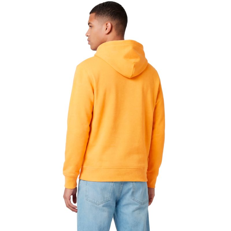 Champion Hooded Sweatshirt Yellow 221791 YS164