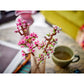 LEGO BOTANICALS 40725 Cherry Blossoms In preparation Your Sports Performance
