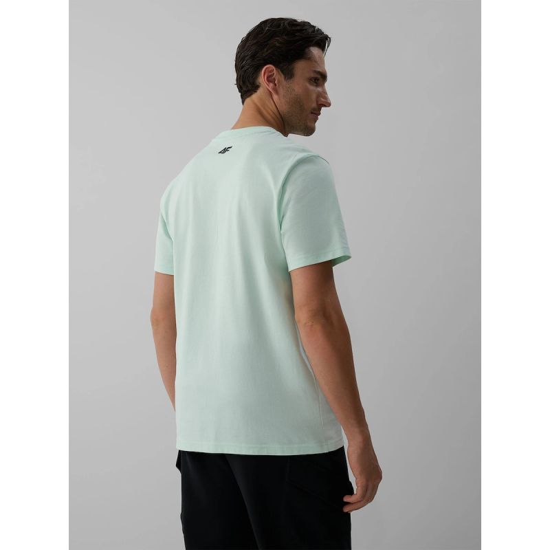 Men's regular printed T-shirt 4F 4FKAW26TTSHM4474-47S