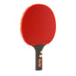 Giant Dragon 7★ N8072 Table Tennis Racket Accessories/Rackets and accessories Your Sports Performance