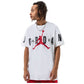 Nike Jordan AIR Stretch M T-shirt DV1445-100 Clothing/Lifestyle/T-shirts/Jordan Nike