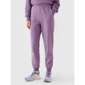 Women's jogger sweatpants 4F 4FRAW24TTROF1151-50S *Kategoria tymczasowa Your Sports Performance