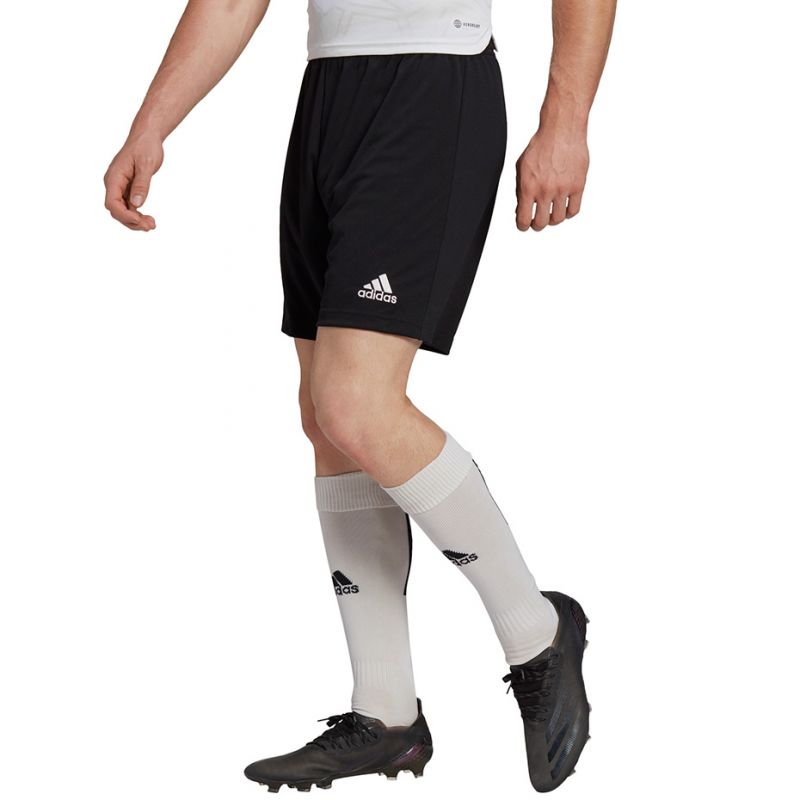 Adidas Entrada 22 M H57504 shorts Clothing/Football Adidas