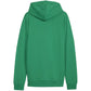 Puma Team Goal Casuals Hooded M 658595 05 sweatshirt Clothing/Football Puma