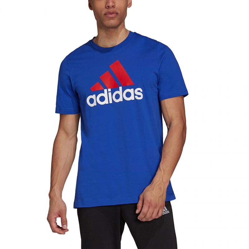 adidas Essentials Big Logo Tee M H12174 Clothing/Outdoor/T-shirts with short sleeves/adidas Your Sports Performance