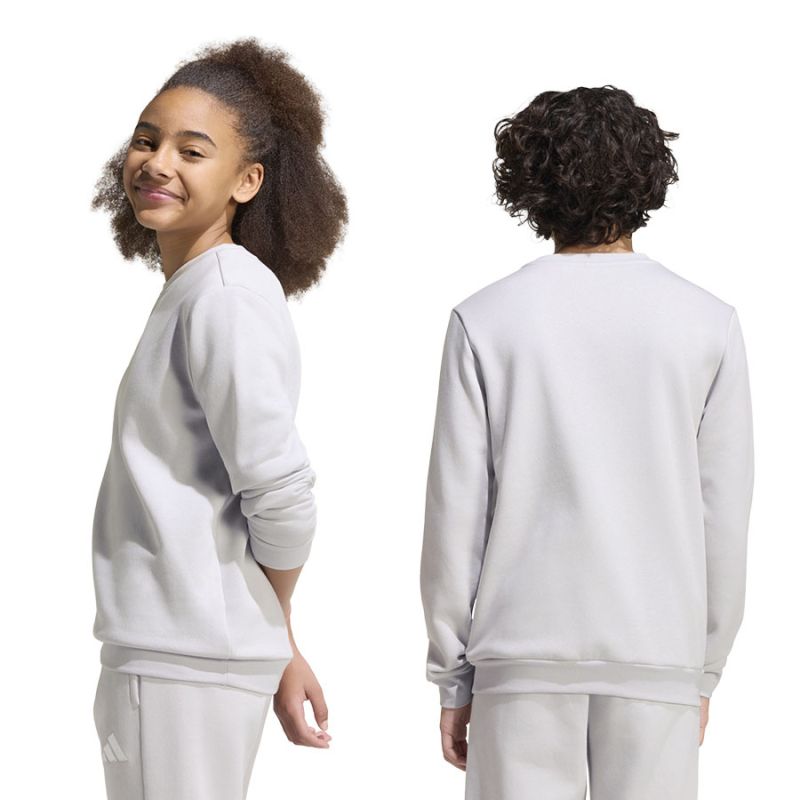 adidas Entrada 26 Sweat Top for kids gray JZ6551 To be categorized Your Sports Performance