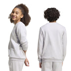 adidas Entrada 26 Sweat Top for kids gray JZ6551 To be categorized Your Sports Performance
