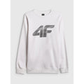 Men's sweatshirt without zipper and hood 4F 4FRAW25TSWSM2493-10S 4f