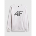Men's sweatshirt without zipper and hood 4F 4FRAW25TSWSM2493-10S 4f