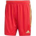 Shorts adidas Tiro 23 League M IB8090 Clothing/Football Adidas