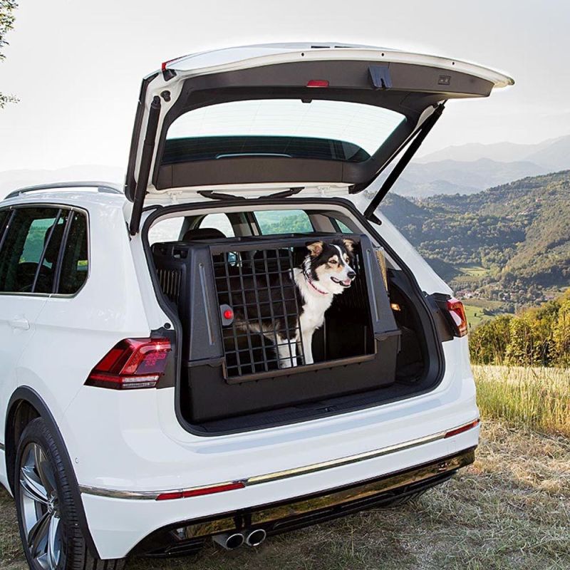 FERPLAST Atlas Car 100 Scenic - car carrier for animals Dla psa/Klatki i transportery (dla psów) Your Sports Performance