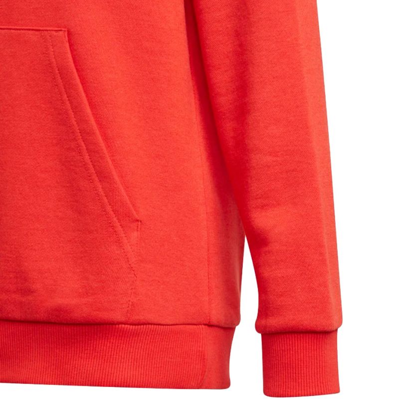 Adidas Essentials Big Logo Hoodie Jr GN4037 Clothing/Lifestyle Adidas