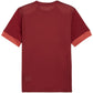 Puma teamGoal Matchday Jersey men's burgundy 705747 09 In preparation Your Sports Performance