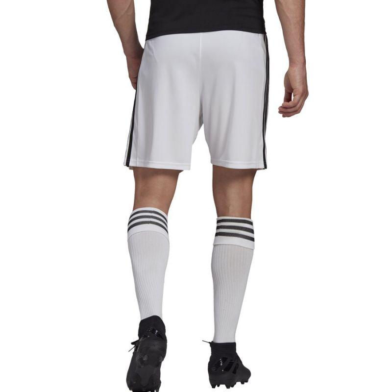 Adidas Squadra 21 Short M GN5773 Clothing/Football Adidas