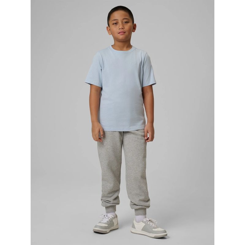 Boys' jogger sweatpants 4F 4FJRMM00TTROM1823-25M 4f