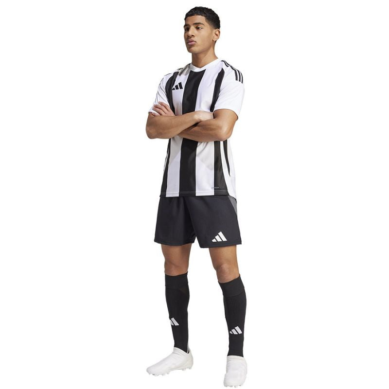 Adidas Striped 24 JSY M T-shirt IW2143 Clothing/Football Adidas