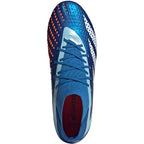 Adidas Predator Accuracy.1 FG M GZ0038 football shoes Footwear/Football Adidas