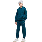 Puma ESS 2 Color No. 1 Logo Turquoise Kids' Pants 685824 36