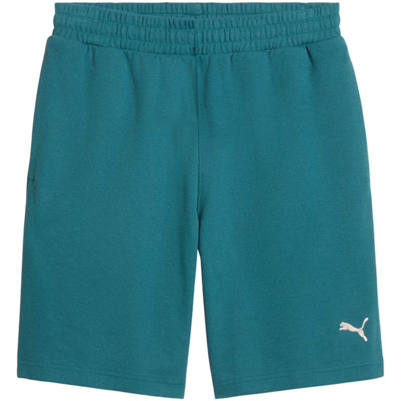 Puma ESS Elevated Relaxed Men's Shorts Green 692021 41