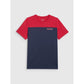 Men's regular printed T-shirt 4F 4FRAW25TTSHM3292-31S 4f