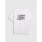 Men's regular printed T-shirt 4F 4FRAW25TTSHM3259-10S 4f