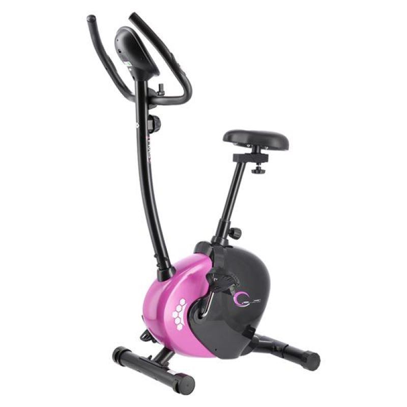 Magnetic bike purple HMS M9239V