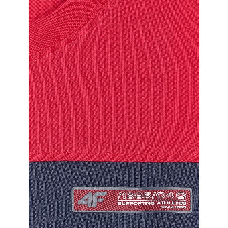 Men's regular printed T-shirt 4F 4FRAW25TTSHM3292-31S 4f