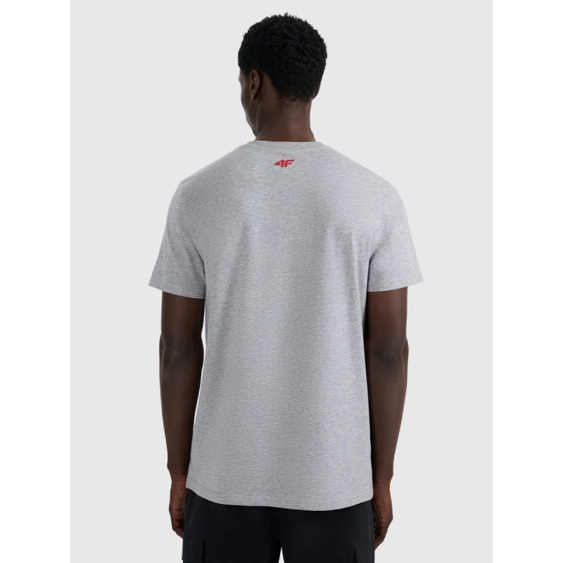 Men's regular printed T-shirt 4F 4FRAW25TTSHM3364-27M *Kategoria tymczasowa Your Sports Performance