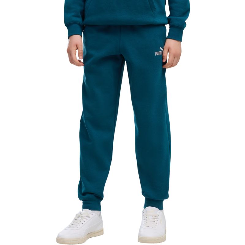 Puma ESS 2 Color No. 1 Logo Turquoise Kids' Pants 685824 36