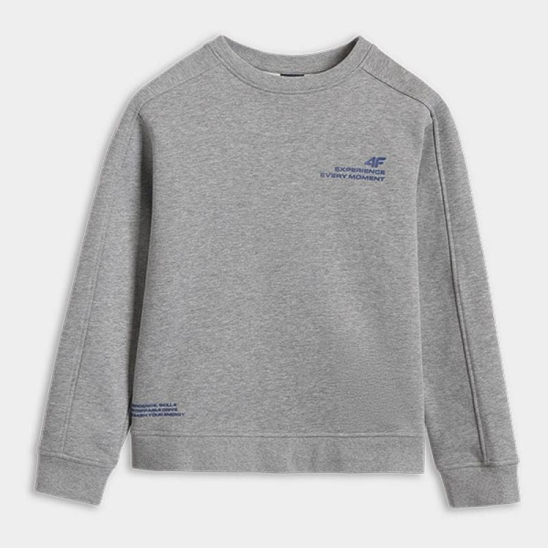4F JUNIOR sweatshirt 4FJRAW25TSWSM2413-25M *Kategoria tymczasowa Your Sports Performance