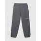 Boys' jogger sweatpants 4F 4FJRAW25TTROM1605-22S 4f