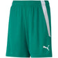 Puma teamLIGA Shorts Jr 704931 05 Clothing/Training Your Sports Performance