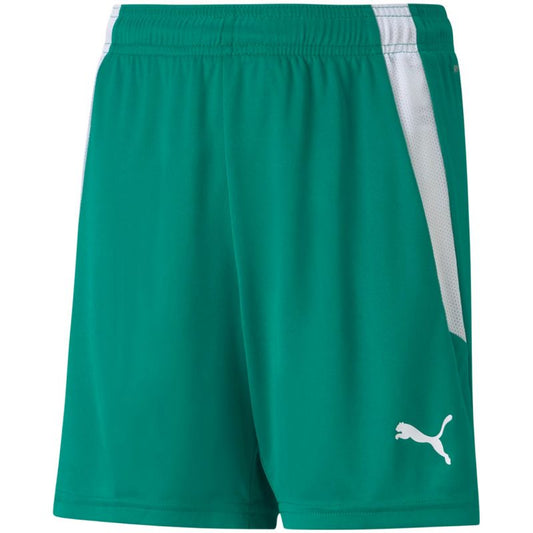 Puma teamLIGA Shorts Jr 704931 05 Clothing/Training Your Sports Performance