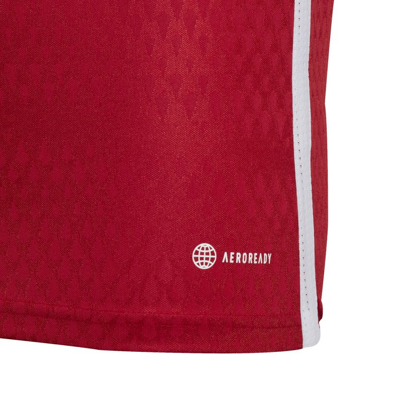 adidas Tiro 23 Competition Match Jersey red IC7457 Clothing Your Sports Performance