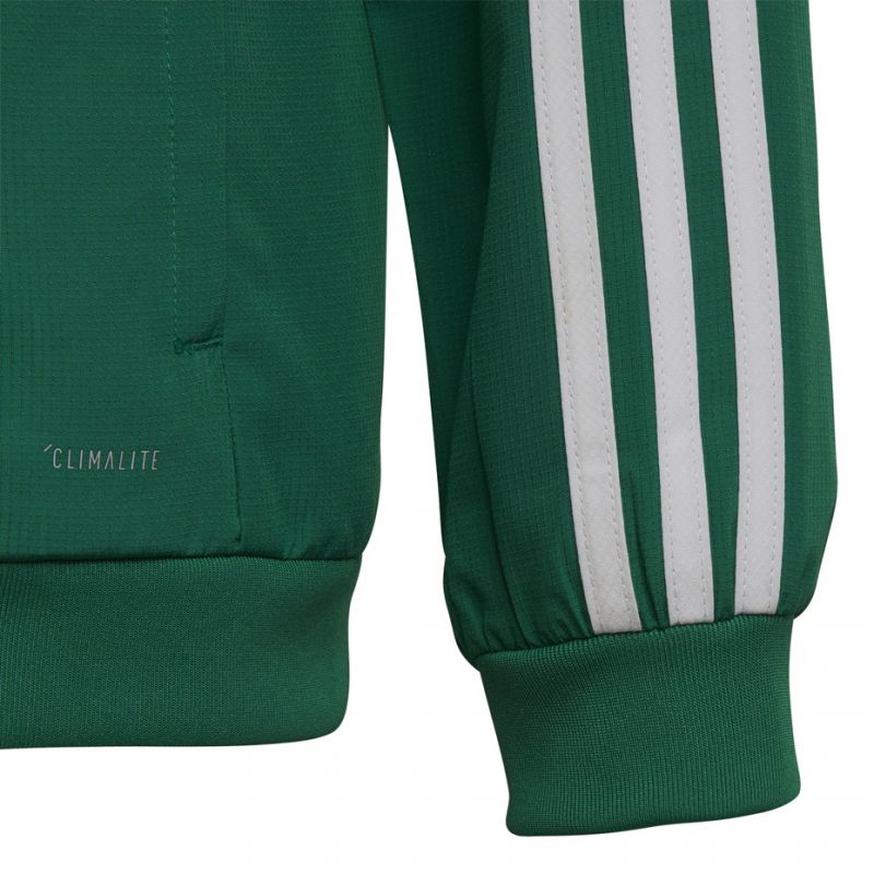 Adidas Tiro 19 Presentation Jacket Junior DW4790 football sweatshirt Clothing/Football Adidas