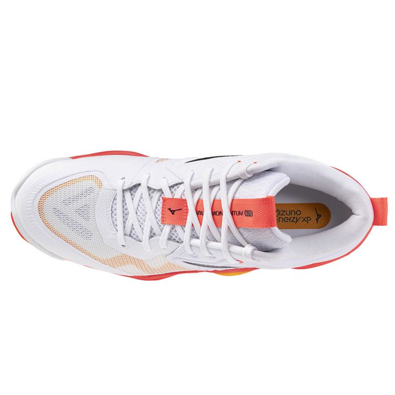 Mizuno Wave Momentum Elite Mid M V1GA251701 shoes Footwear/Volleyball/Men Mizuno